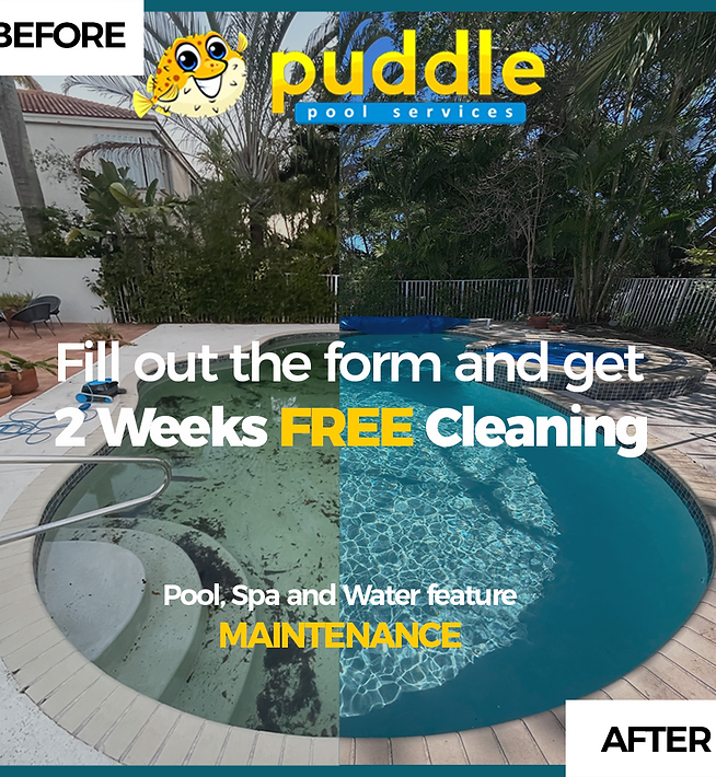 Puddle Pools Franchise ad creative